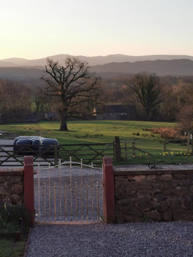 Rainors Farm B&B Gosforth  Екстер'єр фото