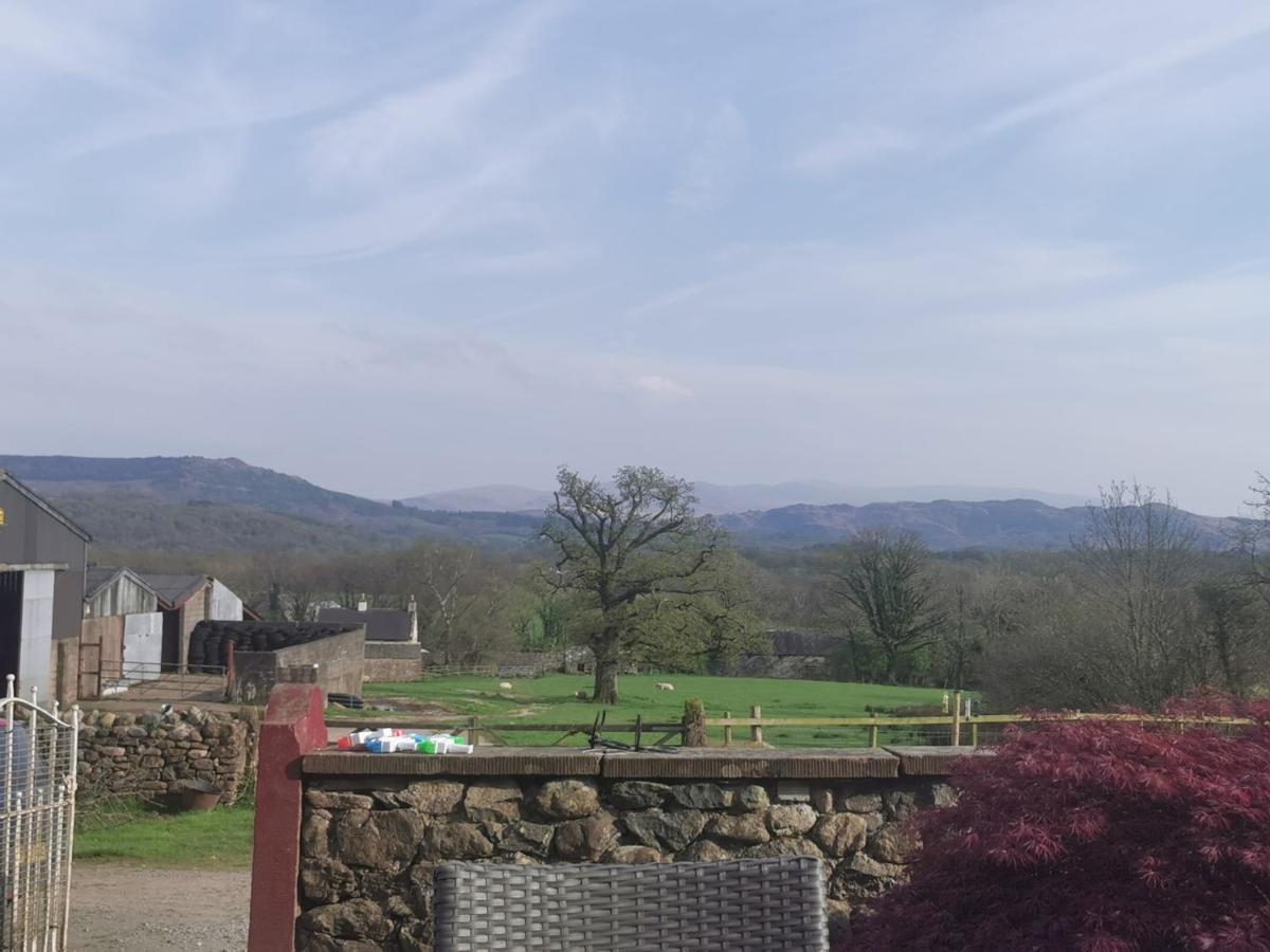 Rainors Farm B&B Gosforth  Екстер'єр фото